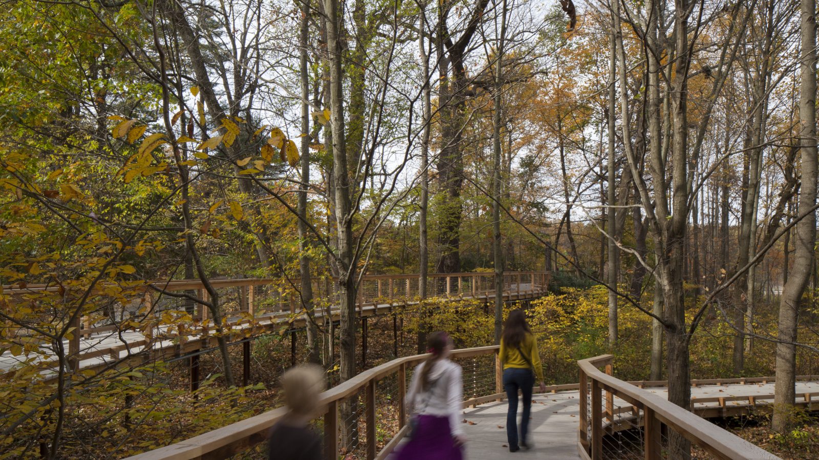 Complimentary Guest Tickets Longwood Gardens